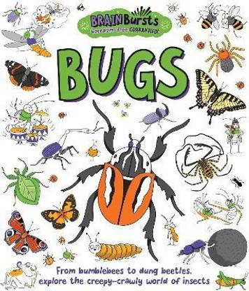 Bugs