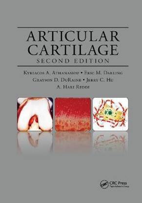 Articular Cartilage