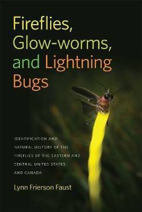 Fireflies, Glow-worms, and Lightning Bugs