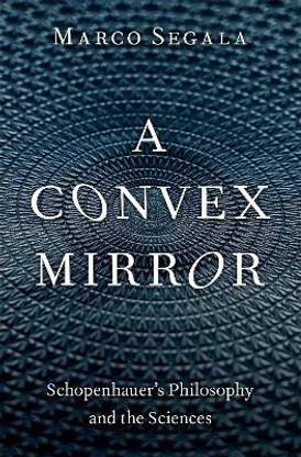 A Convex Mirror