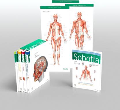 Sobotta Atlas of Anatomy, Package, 17th ed., English/Latin