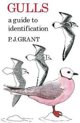 Gulls: A Guide to Identification. 2nd Edition