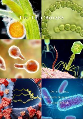 The True Botany
