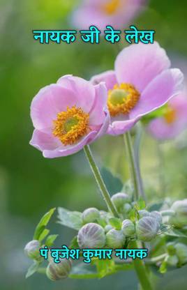 Nayak Ji Ke Lekh / नायक जी के लेख