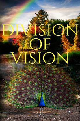 DIVISION OF VISION