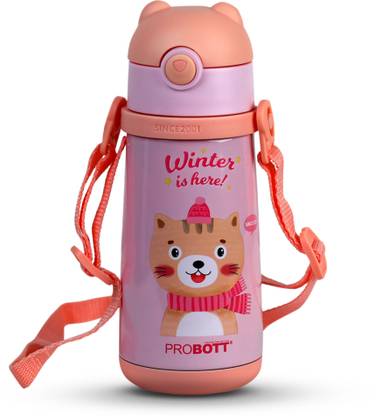PROBOTT 370 ml Steel Flask