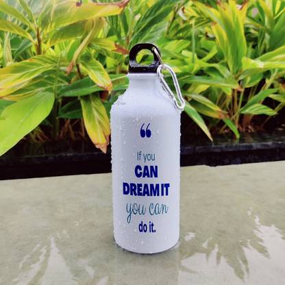 Palesaa 600 ml Aluminium Sipper
