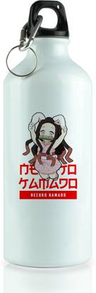 REVAMAN 607 ml Aluminium Bottle