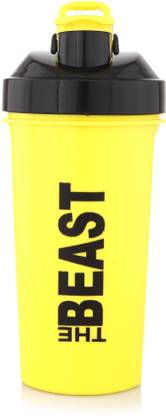 Zelenor 700 ml Steel Bottle