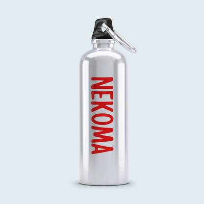 Epic Merch 750 ml Aluminium Bottle