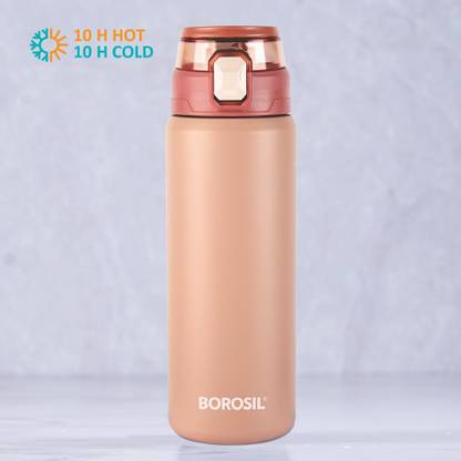 BOROSIL 600 ml Steel Bottle