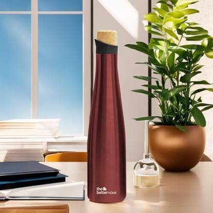 The Better Home 500 ml Steel Bottle