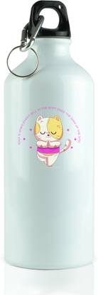 REVAMAN 600 ml Aluminium Bottle