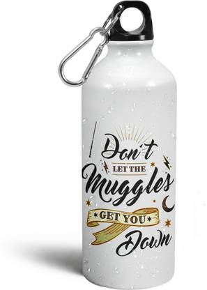 Morons Don't let the muggles get you down - Potterhead Merch Quotes 600 ml Bottle