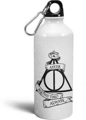 Morons After All This Time - Harry Potter Quotes - Hogwarts for Potterhead Collection 600 ml Bottle