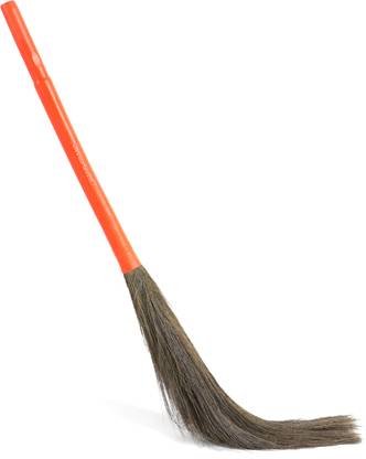 Castle Grass Dry Broom