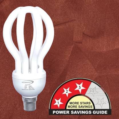 skybright 32 W Basic Globe B22 CFL Bulb