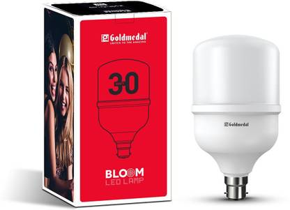 Gold Medal 30 W Basic Standard B22 LED Bulb