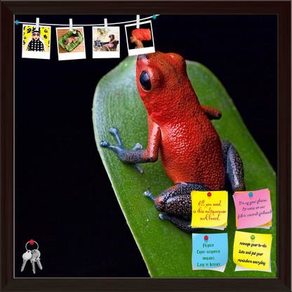 Artzfolio Red Poison Dart Frog Blue Legs Notice Pin Board Dark Brown Frame 20x20inch Cork Bulletin Board