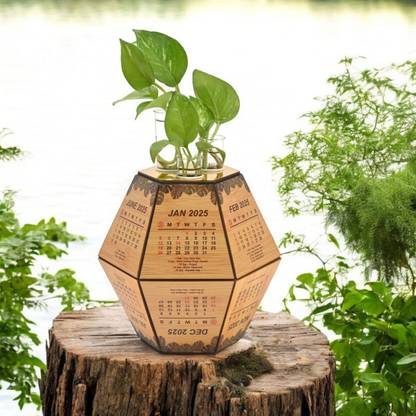 GIFT KYA DE Table Calendar Planter With Test Tube Holder Hexagon Shape Desk Organiser 2023 Table Calendar