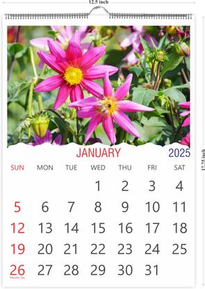 Shashiv 12 Sheets Hanging Wiro Cal in Size 12.50" x 17.75" (C1) 2025 Wall Calendar