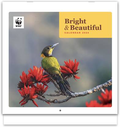 WWF Bright & Beautiful 2024 Wall Calendar