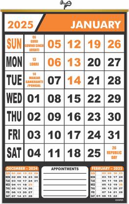 ESCAPER 2025 Wall Planner for Daily Use – Bold Dates, Monthly Layout, Easy Hanging 2025 Wall Calendar