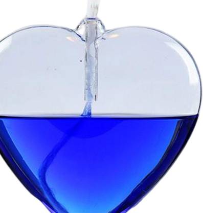 Lyla Oil Lamps for Indoor Use Kerosene Lamp Transparent Glass Oil Lantern Desktop Glass Candle Holder