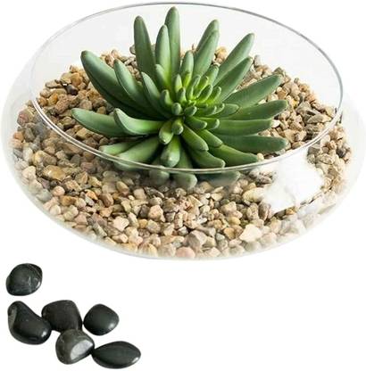 BS AMOR Glass Vase, Urli Bowl Terrarium Succulent Planter, Air Plant Display, Decorative Glass 1 - Cup Tealight Holder