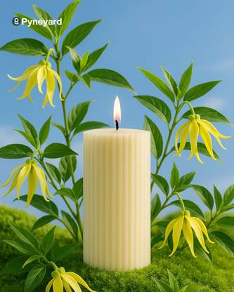 Pyneyard Tropic Temptation (Ylang Ylang) Scented Pillar Candle