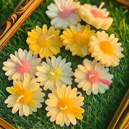 AMC Daisy flower 10 Candle