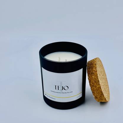 Saki Redolence Tejo – Scented Candle with Cool Notes of Icy Air Candle