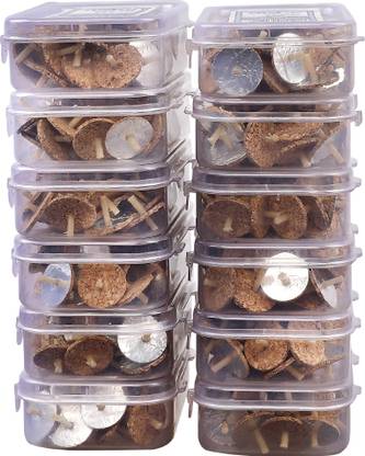 Veeana Floating Oil Wicks (Parsi Vat) Set of 12 packs (50 Pcs Per Box Total 600 Wicks) Candle