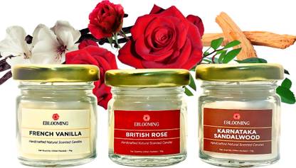 EBLOOMING Scented Candles Set For Home in Small Glass Jars I Rose, Vanilla, Sandalwood Candle