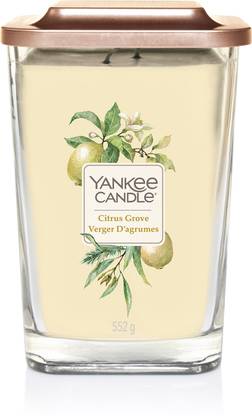 Yankee Candle Citrus Grove Elevation Large Jar Scented Candle