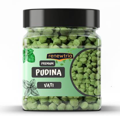 RENEWTRIA Digestive Pudina Vati/Mint Tablet(for Gas,Acidity,Digestion & Flatulence) Sour candy Candy
