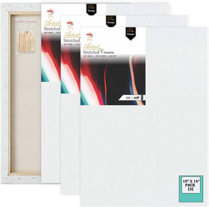 VARIETY 10" X 14" PRE STRETCHED CANVAS ARTIST QUALITY TRIPLE LAYER Cotton Medium Grain Stretched Canvas Board, Board Canvas, Pre Stretched Canvas, Canvas Pad (Set of 3)