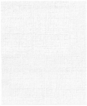 MOREL CANVASES FOR PAINTING 4X6 INCH BLANK WHITE BOARD ART PANELS FOR PAINTING Cotton Soft Touch Board Canvas (Set of 1)