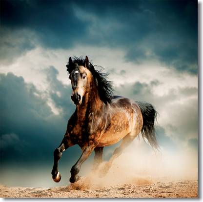 Running Horse Theme CAN400M Polycotton Fairly Hard Canvas Roll (Set of 1)