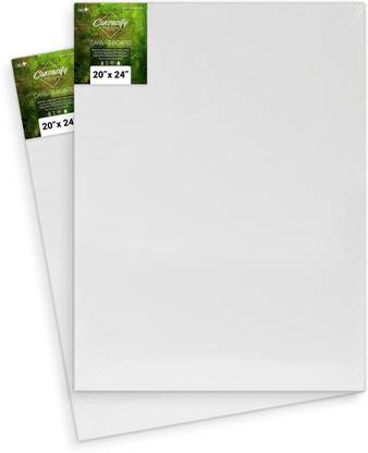 Canvasify Artist Medium Grain Artist Canvas Board, White 20" x 24" (Pack of 2) Cotton Medium Grain Pre Stretched Canvas (Set of 2)