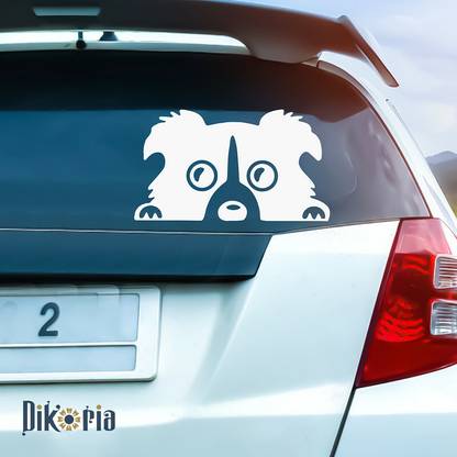 Dikoria Sticker & Decal for Car & Bike