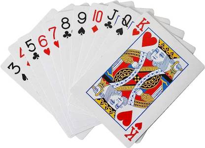 LIFE STYLE SECTION plastic Playing Cards, Bridge Size, Regular Index, water proof cards