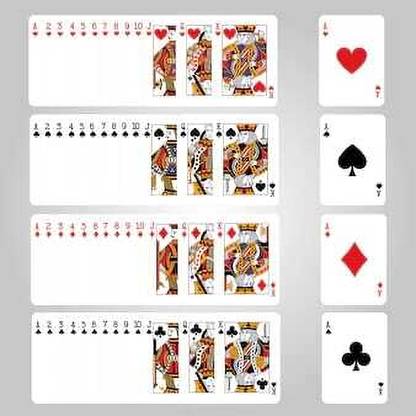LIFE STYLE SECTION ANCHOR WATER PROOF PLASTIC PLAYING CARDS