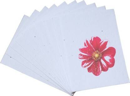 Seed Paper 100% Biodegradable Premium Plantable, Unprinted, Wedding Cards Invitation Card