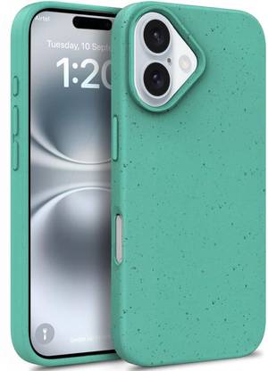 Egotude Back Cover for iPhone 16 Plus