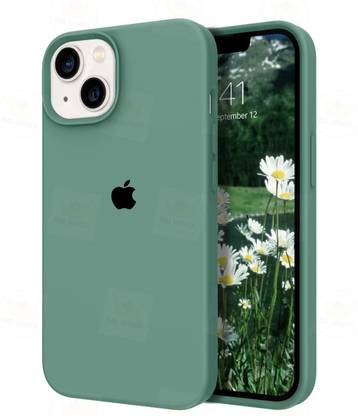 Big Wings Back Cover for APPLE IPHONE 15