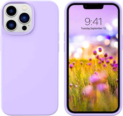 Imperium Back Cover for Apple iPhone 13 Pro Max