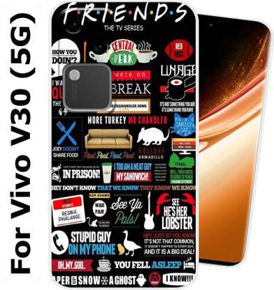 CaseZill Back Cover for Vivo V30 (5G)