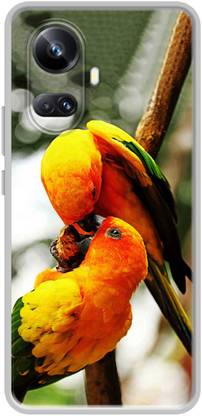 Casotec Back Cover for Realme 10 Pro Plus 5G