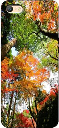 royal eshop 15 Back Cover for Oppo A57